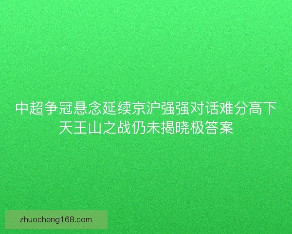 中超争冠悬念延续京沪强强对话难分高下天王山之战仍未揭晓极答案