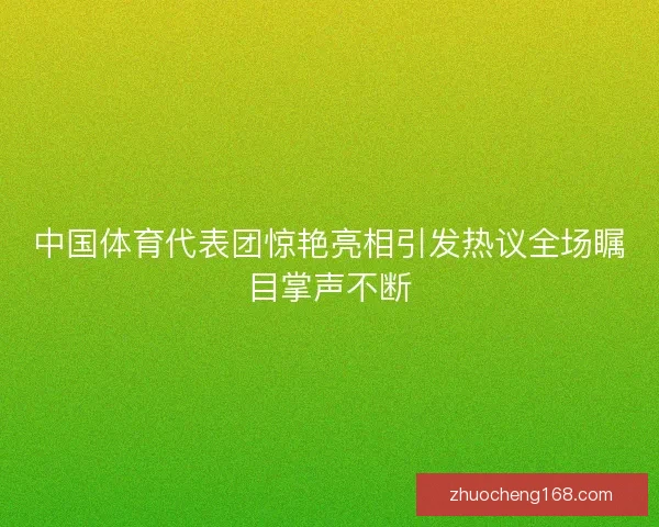 中国体育代表团惊艳亮相引发热议全场瞩目掌声不断 中国体育代表团惊艳亮相引发热议全场瞩目掌声不断