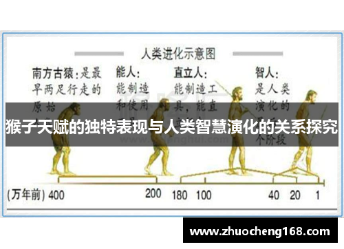 猴子天赋的独特表现与人类智慧演化的关系探究